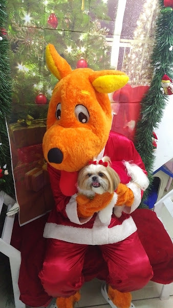 Foto 2 Pet Boutique By Republicão