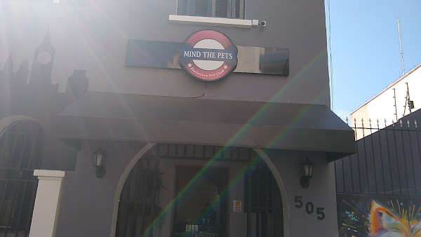 Foto 2 Mind The Pets