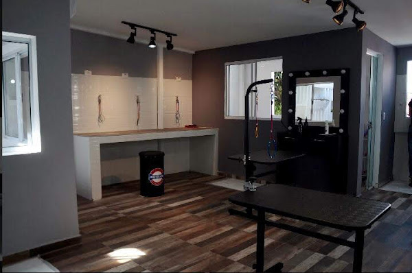 Foto 4 Mind The Pets