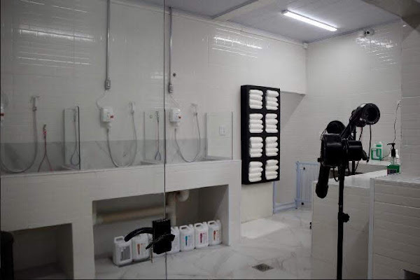 Foto 6 Mind The Pets Foto 6 Mind The Pets