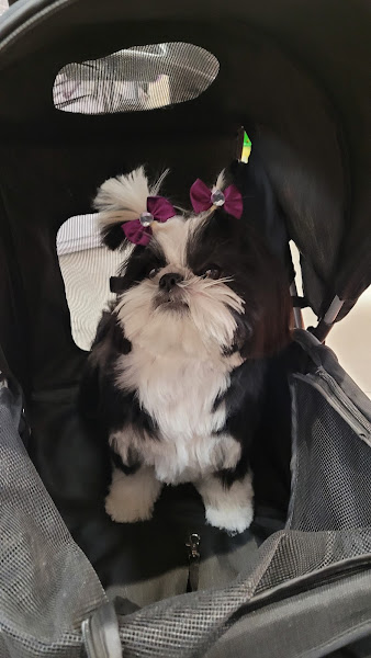 Foto 0 Petland - Shopping Villa Lobos