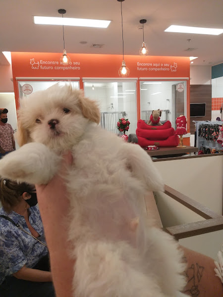 Foto 1 Petland - Shopping Villa Lobos