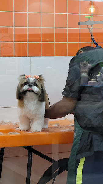 Foto 2 Petland - Shopping Villa Lobos