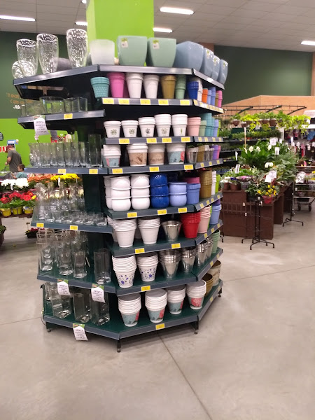 Foto 4 Cobasi Atlântica