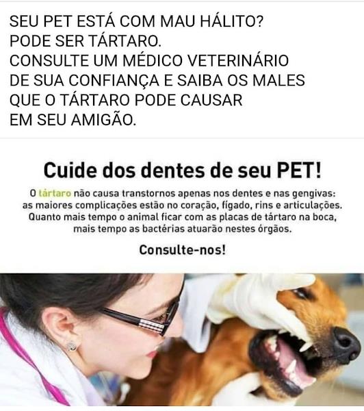 Foto 4 GALERA PET DOS ANIMAIS COMERCIO E SERVIÇOS LTDA - ME