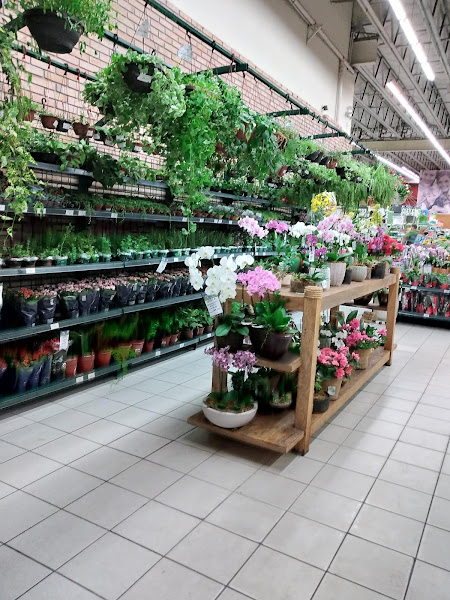 Foto 2 Cobasi Radial Leste