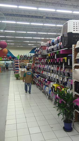 Foto 3 Cobasi Radial Leste