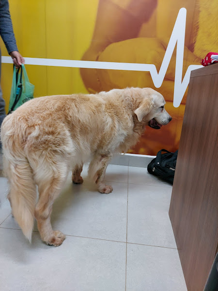 Foto 2 Petland Vila Andrade