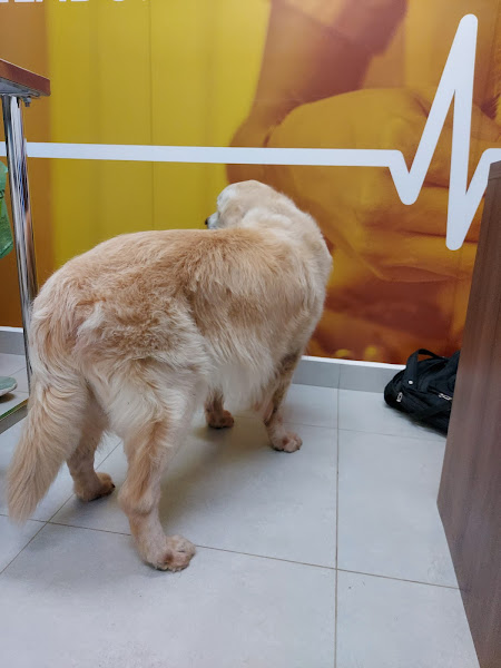 Foto 3 Petland Vila Andrade Foto 3 Petland Vila Andrade