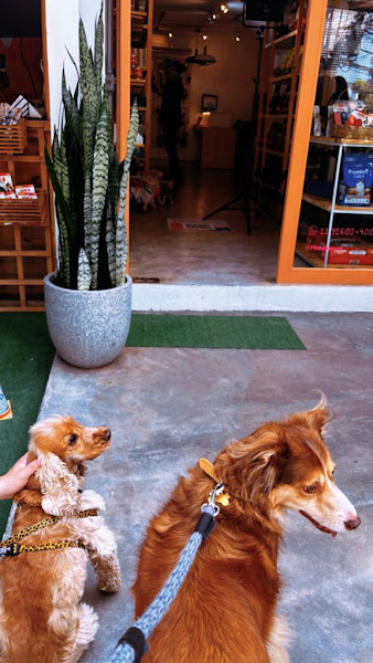 Foto 2 GoApp.pet Dog Park & Café