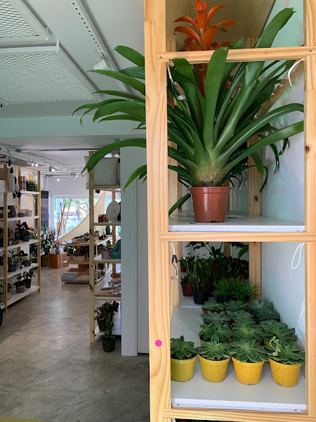 Foto 3 GoApp.pet Dog Park & Café