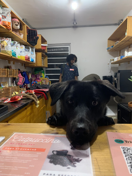 Foto 4 GoApp.pet Dog Park & Café