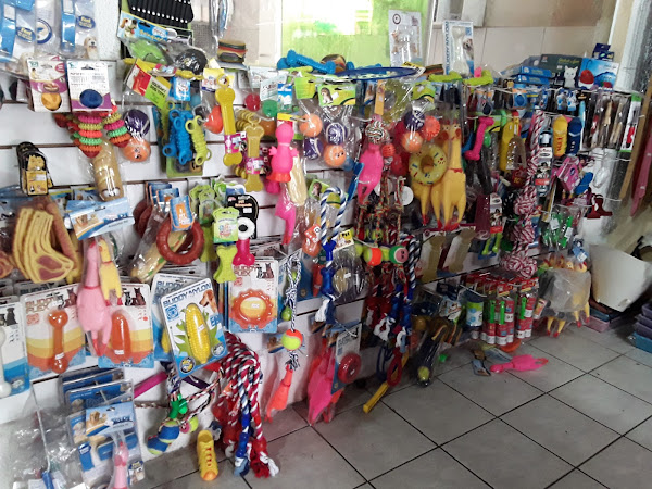 Foto 1 Espaço Cão e Cia