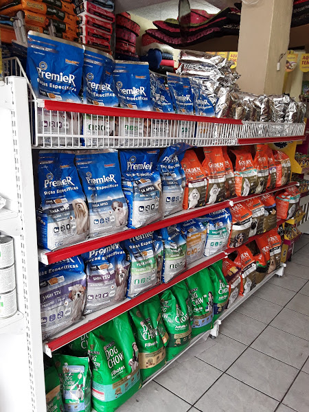 Foto 2 Espaço Cão e Cia