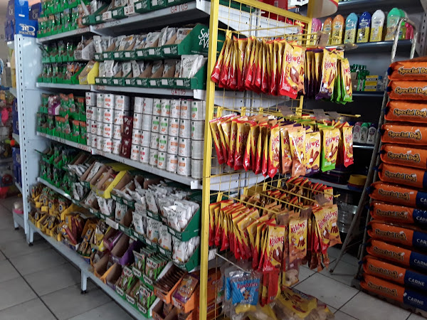 Foto 4 Espaço Cão e Cia