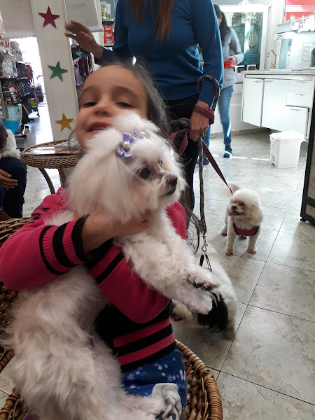 Foto 2 Fofinho Veterinário e Petshop Unidade Tatuapé