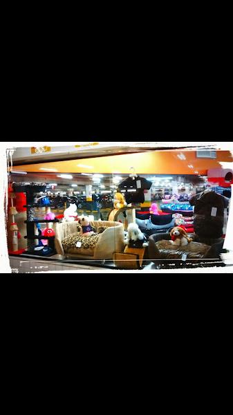 Foto 2 Alvorada Pet Shop - Pacaembu