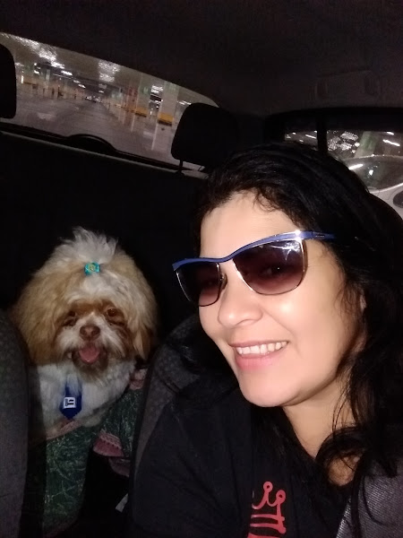 Foto 4 Alvorada Petshop