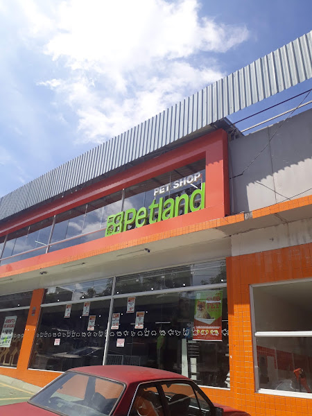 Petland Águia de Haia