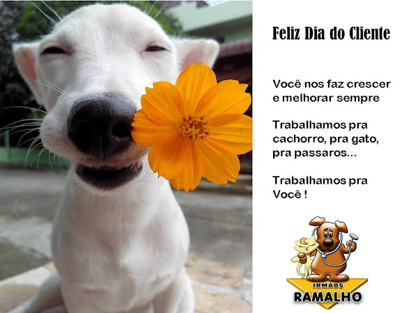 Foto 3 Pet Shop Ramalho