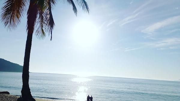 Foto 1 Dr Vanessa Almeida - dentista aodontoesthetic