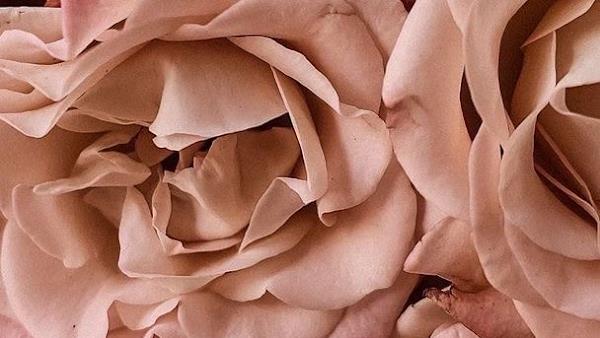 Foto 1 Martha Camilo - CIRURGIÃ-DENTISTA