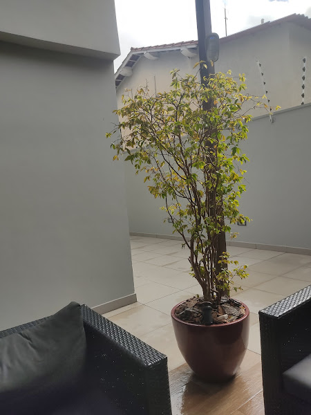 Foto 3 Vigna Advogados Associados