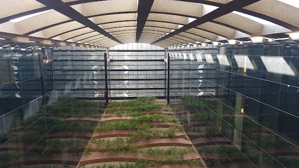 Santos Neto Advogados