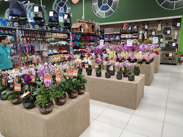 Foto 1 Cobasi Imigrantes