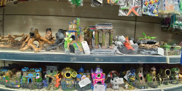 Foto 2 Cobasi Imigrantes