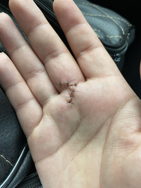 Foto 1 Hospital UNIFESP