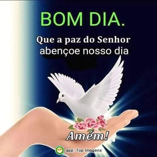 Foto 4 Hospital de Transplantes Euryclides de J. Zerbini