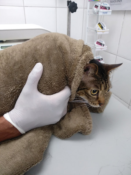 Foto 1 Hospital Veterinário Santa Inês