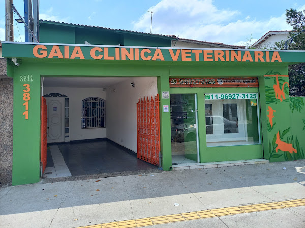 Foto 5 Gaia Clínica Veterinária e Pet Shop