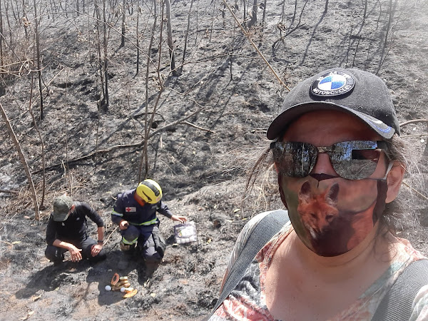 Foto 1 clinica veterinaria paulistana