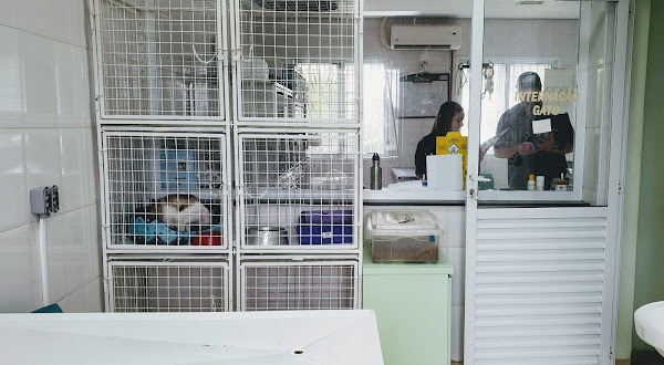 Foto 1 Hospital Veterinário Pront-cão