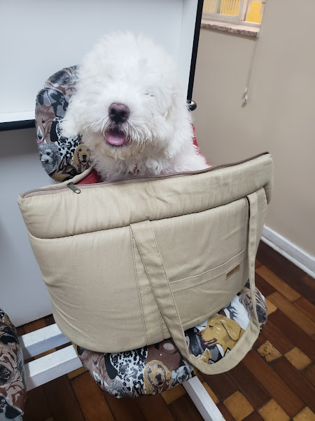 Foto 2 Alpha Dog Estética Animal, Hotel e Clinica Veterinária