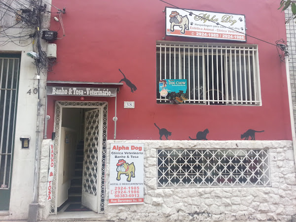 Foto 4 Alpha Dog Estética Animal, Hotel e Clinica Veterinária