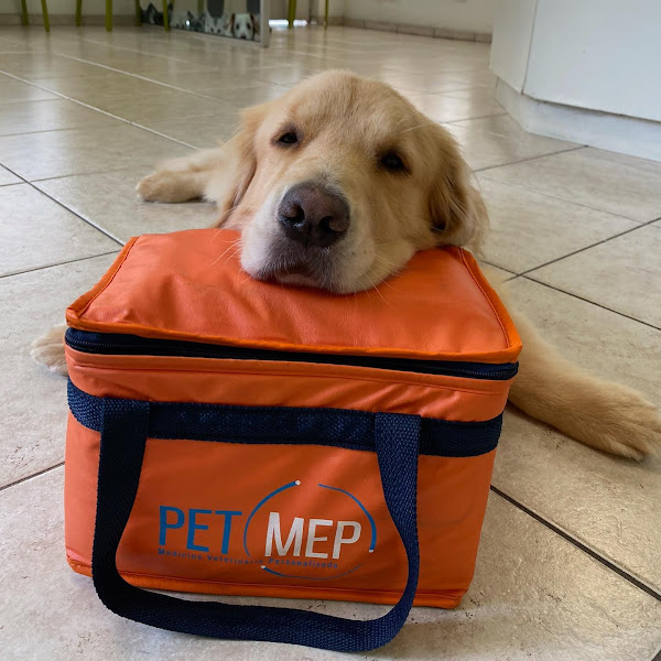 Foto 3 Hospital Veterinário Paes de Barros