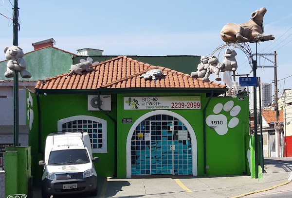 BICHO NO POSTE CLINICA VETERINÁRIA