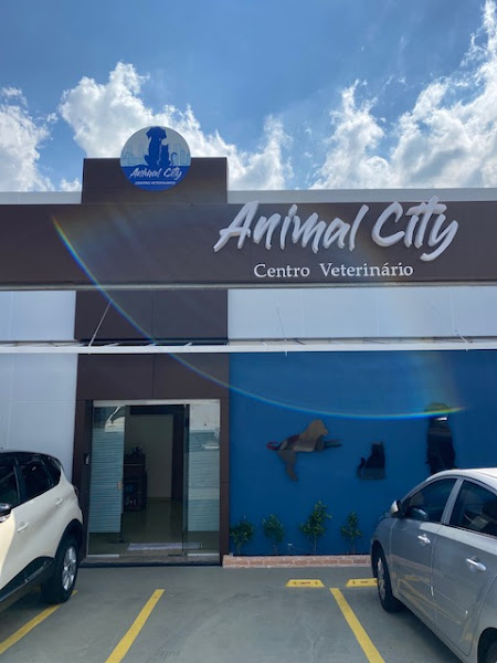 Animal City Animal City