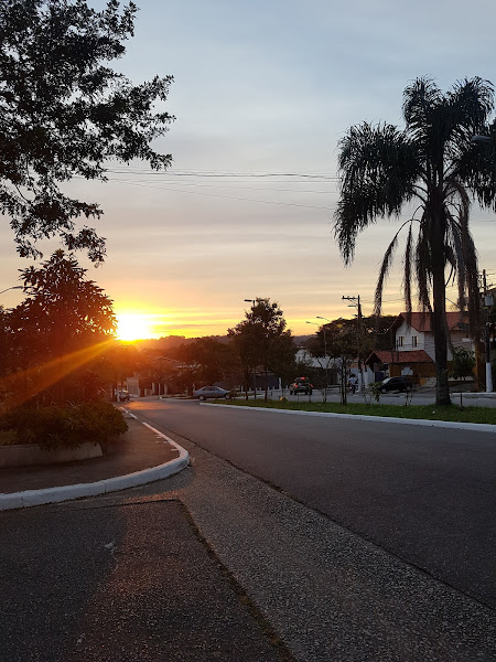 Foto 3 Hospital Veterinário Savana