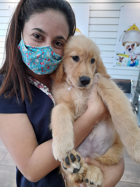 Foto 3 Hospital Veterinário Alpri Vet Premium