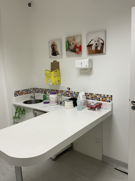 Foto 3 Hospital Veterinario 24 horas - Cidade dos Bichos