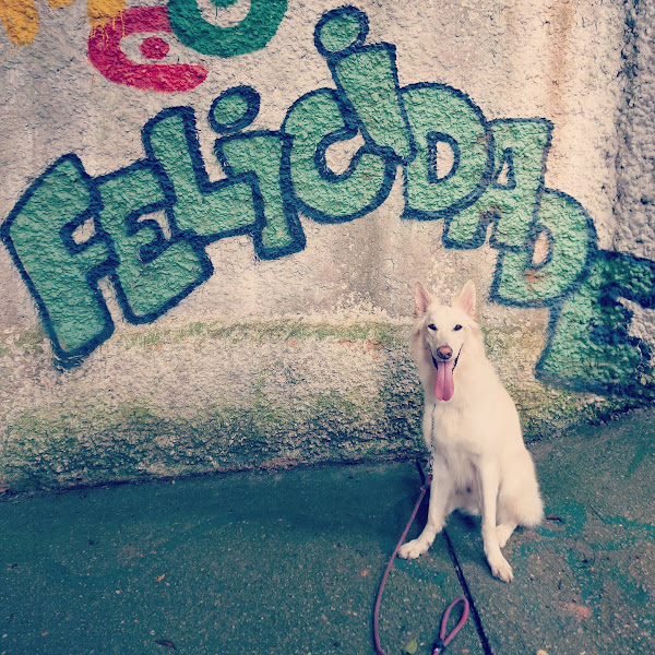 Foto 1 Clínica Veterinária Galescão