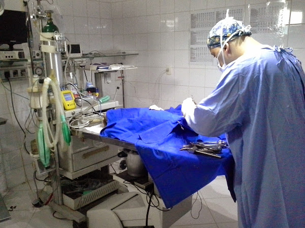 Foto 3 Clínica Veterinária Galescão