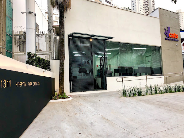 Foto 2 Hospital 4cats