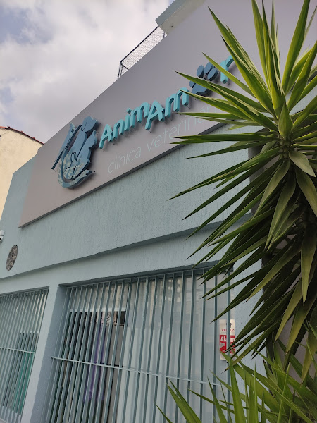 Foto 5 Animamor Clínica veterinária