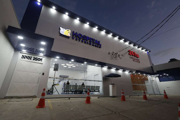 Foto 2 Hospital Veterinário 24 Horas ProntVet - Pompéia