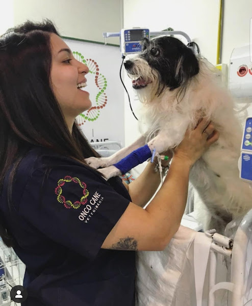 Foto 3 Intensive Care - UTI Veterinária & Cuidados Paliativos